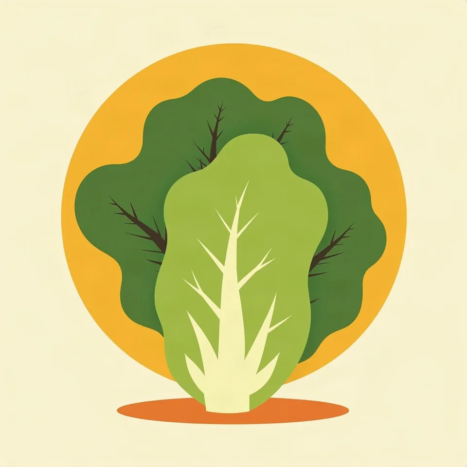 lettuce